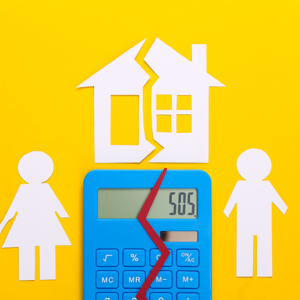 Unequal Division of Net Family Property